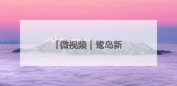 微视频｜鹭岛新篇 向海而歌