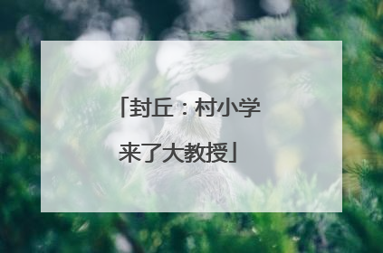 封丘：村小学来了大教授