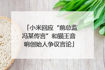 小米回应“前总监冯某传言”和猫王音响创始人争议言论