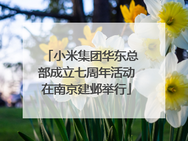 小米集团华东总部成立七周年活动在南京建邺举行