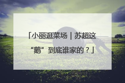 小丽逛菜场｜苏超这“鹅”到底谁家的？