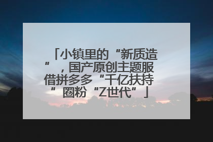 小镇里的“新质造”，国产原创主题服借拼多多“千亿扶持”圈粉“Z世代”