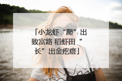 小龙虾“爬”出致富路 稻虾田“长”出金疙瘩