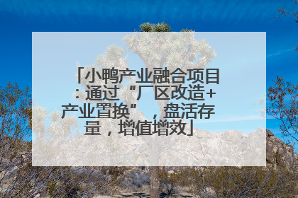 小鸭产业融合项目：通过“厂区改造+产业置换”，盘活存量，增值增效
