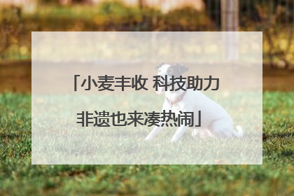 小麦丰收 科技助力 非遗也来凑热闹