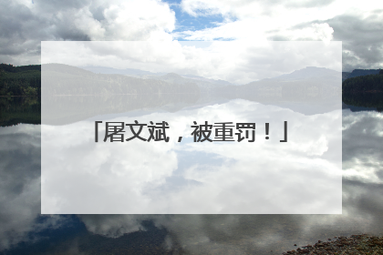 屠文斌，被重罚！