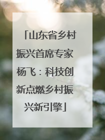 山东省乡村振兴首席专家杨飞：科技创新点燃乡村振兴新引擎