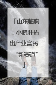 山东临朐：小鹅肝拓出产业富民“新赛道”