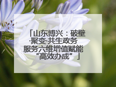 山东博兴：破壁·聚变·共生政务服务六维增值赋能“高效办成”