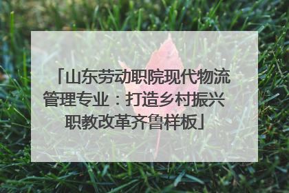 山东劳动职院现代物流管理专业：打造乡村振兴职教改革齐鲁样板
