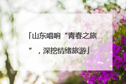 山东唱响“青春之旅”，深挖情绪旅游