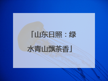 山东日照：绿水青山飘茶香