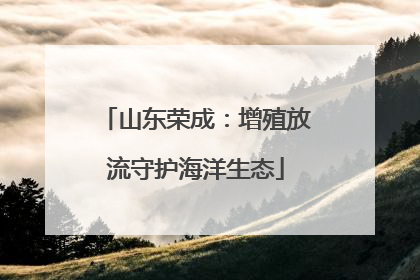 山东荣成：增殖放流守护海洋生态