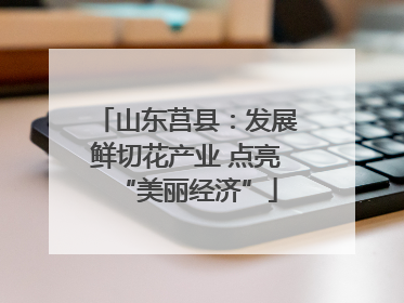 山东莒县：发展鲜切花产业 点亮“美丽经济”