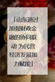 山东通过加强财政金融的协同联动 为民营经济发展加力赋能