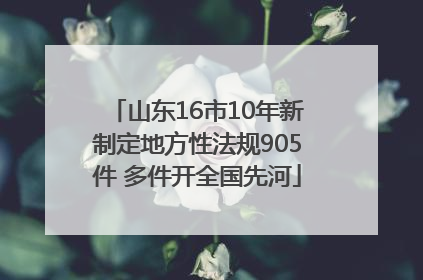 山东16市10年新制定地方性法规905件 多件开全国先河