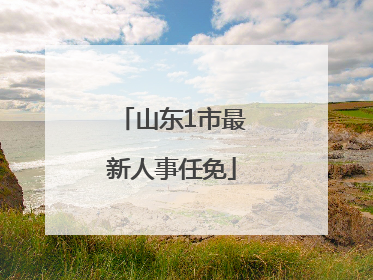 山东1市最新人事任免