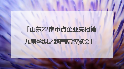 山东22家重点企业亮相第九届丝绸之路国际博览会