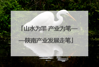 山水为墨 产业为笔——陕南产业发展走笔