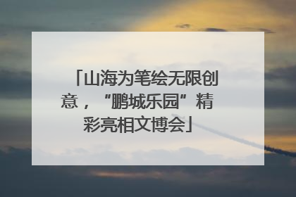 山海为笔绘无限创意，“鹏城乐园”精彩亮相文博会