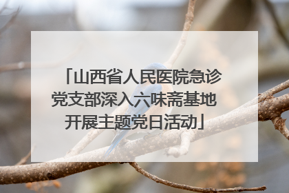 山西省人民医院急诊党支部深入六味斋基地开展主题党日活动