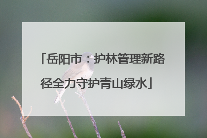 岳阳市：护林管理新路径全力守护青山绿水