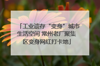 工业遗存“变身”城市生活空间 常州老厂聚集区变身网红打卡地