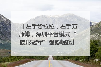 左手货拉拉，右手万师傅，深圳平台模式“隐形冠军”强势崛起