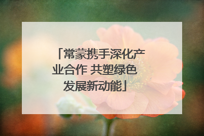 常蒙携手深化产业合作 共塑绿色发展新动能