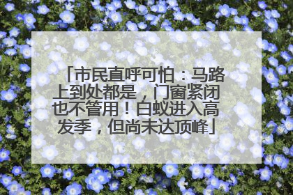 市民直呼可怕：马路上到处都是，门窗紧闭也不管用！白蚁进入高发季，但尚未达顶峰