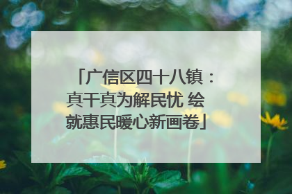 广信区四十八镇：真干真为解民忧 绘就惠民暖心新画卷