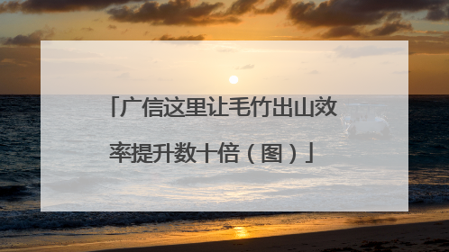 广信这里让毛竹出山效率提升数十倍（图）