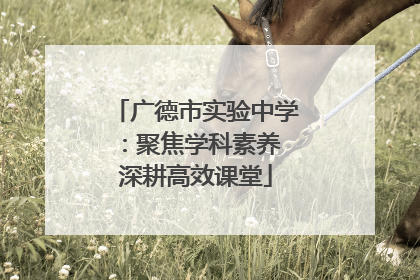 广德市实验中学：聚焦学科素养 深耕高效课堂