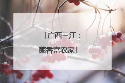 广西三江：菌香富农家