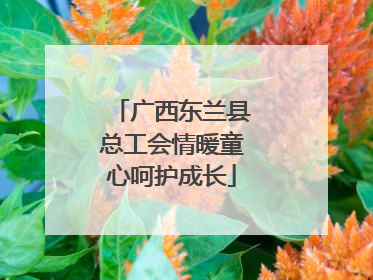 广西东兰县总工会情暖童心呵护成长