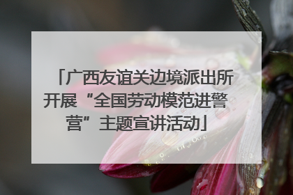 广西友谊关边境派出所开展“全国劳动模范进警营”主题宣讲活动