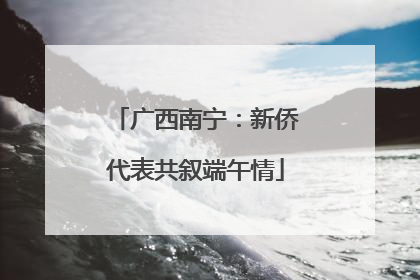 广西南宁：新侨代表共叙端午情