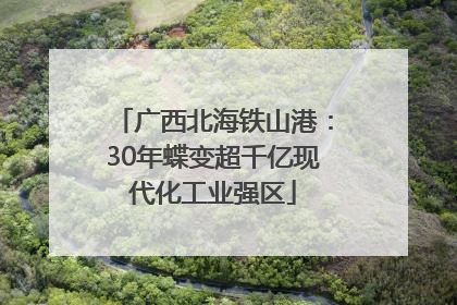 广西北海铁山港：30年蝶变超千亿现代化工业强区