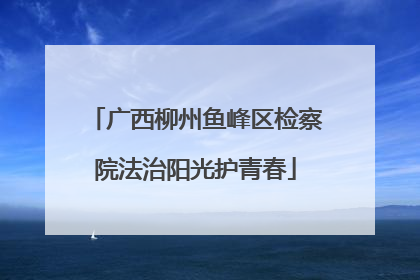 广西柳州鱼峰区检察院法治阳光护青春