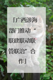 广西涉海部门推动“联建联动联管联治”合作