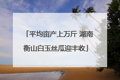 平均亩产上万斤 湖南衡山白玉丝瓜迎丰收