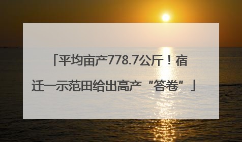 平均亩产778.7公斤！宿迁一示范田给出高产“答卷”