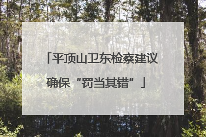 平顶山卫东检察建议确保“罚当其错”