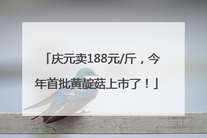 庆元卖188元/斤，今年首批黄靛菇上市了！