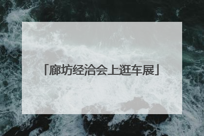 廊坊经洽会上逛车展