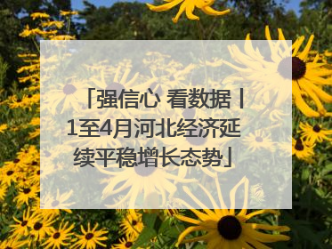 强信心 看数据丨1至4月河北经济延续平稳增长态势