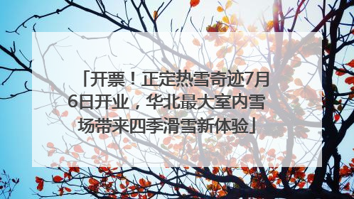开票！正定热雪奇迹7月6日开业，华北最大室内雪场带来四季滑雪新体验
