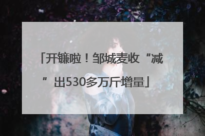 开镰啦！邹城麦收“减”出530多万斤增量
