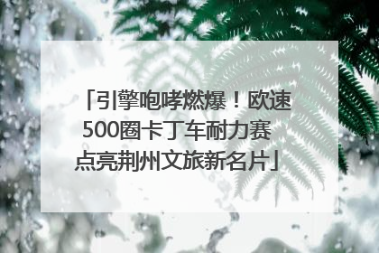 引擎咆哮燃爆！欧速500圈卡丁车耐力赛点亮荆州文旅新名片