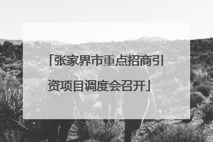 张家界市重点招商引资项目调度会召开